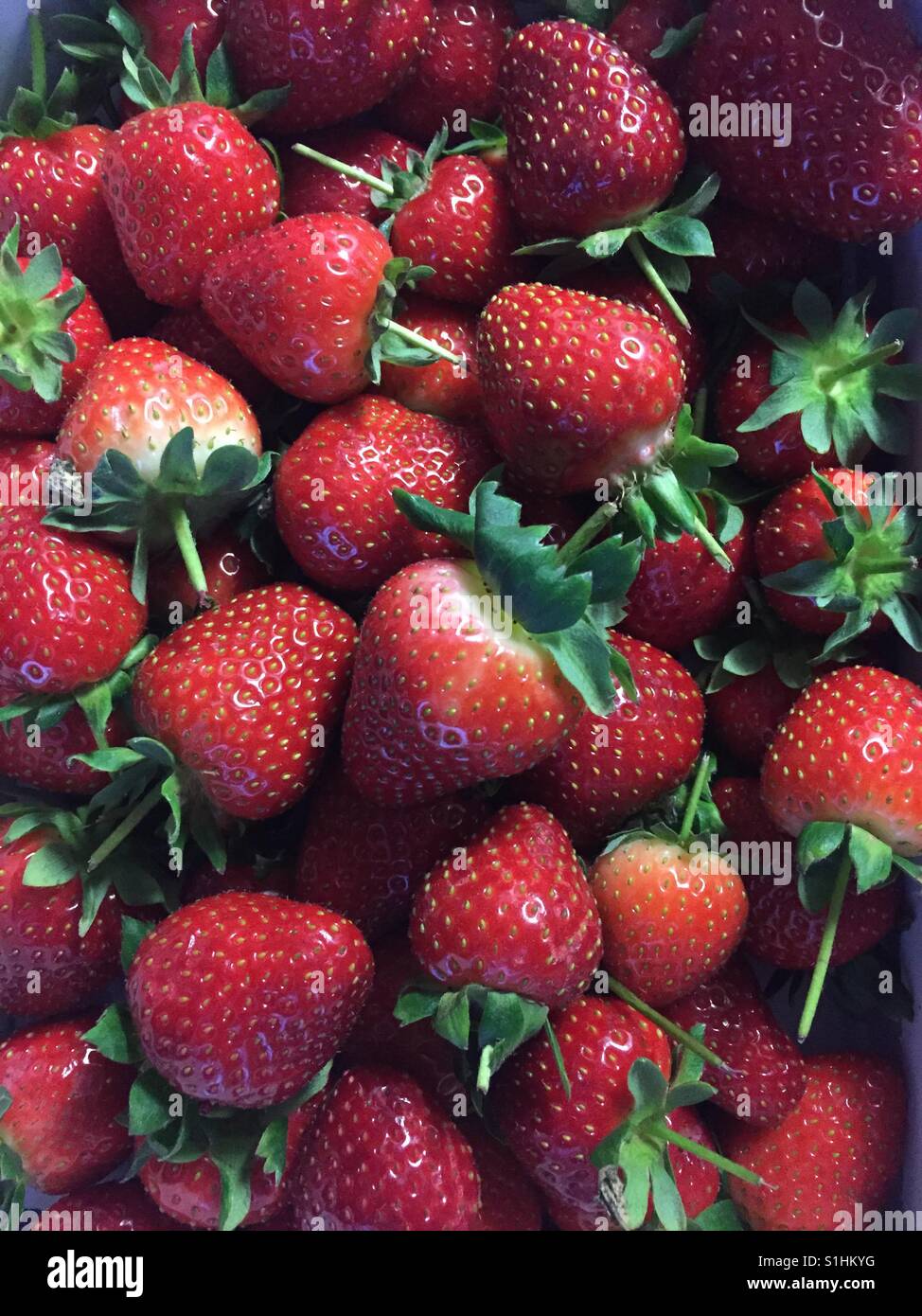 British Strawberries Stock Photo Alamy