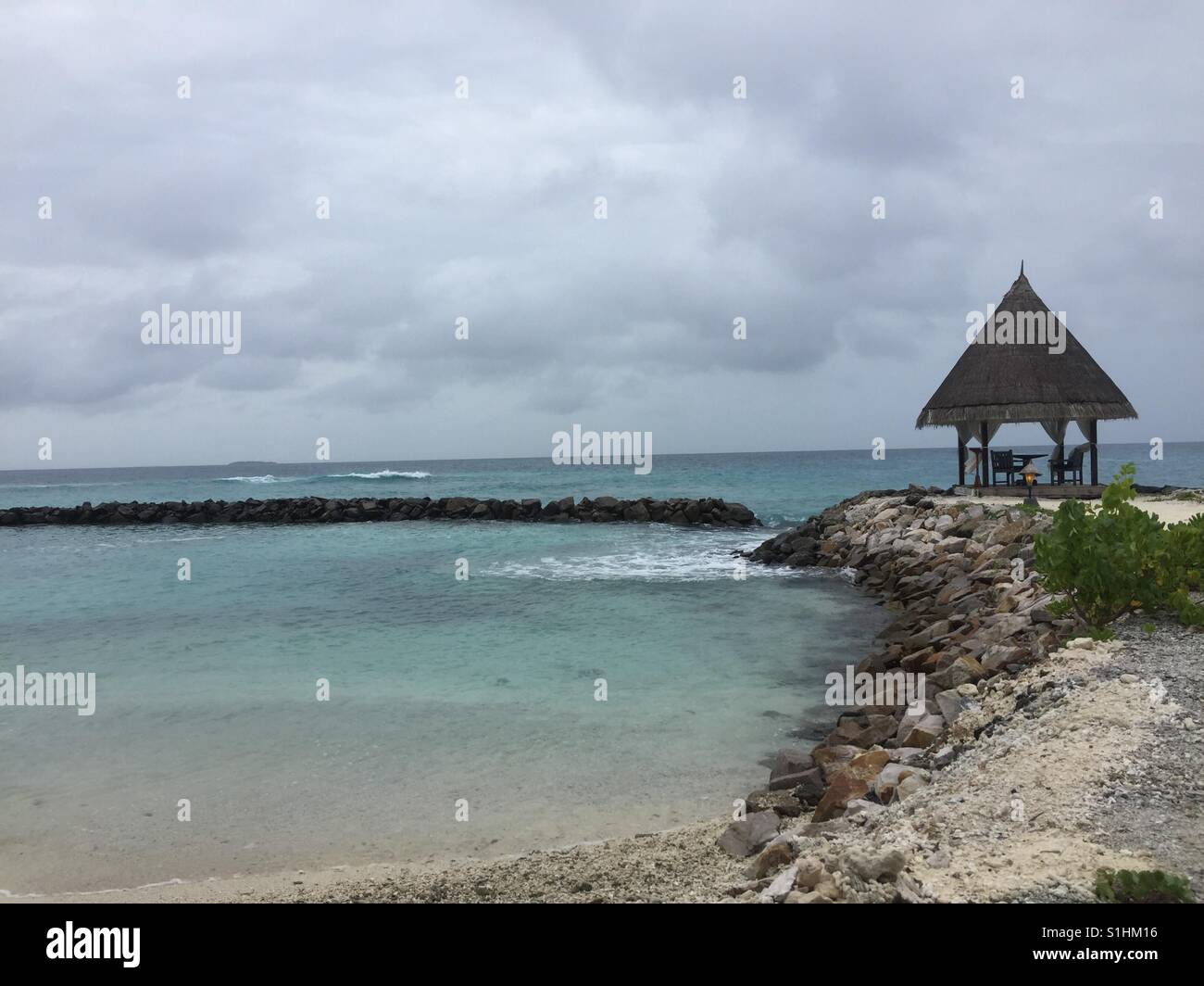 Nature at its best ! Stock Photo Alamy