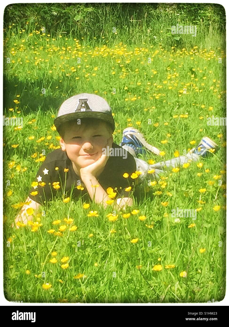 Boy in buttercups Stock Photo
