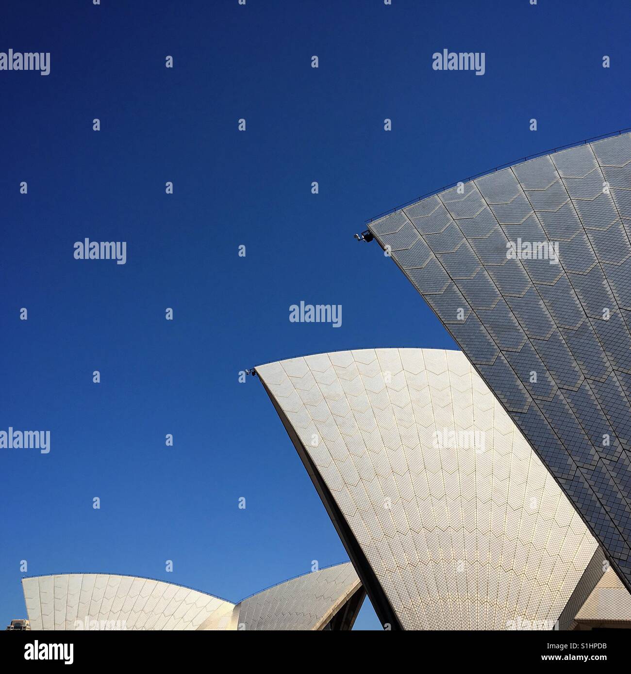 Sydney Opera House sails - Smartphone Captured Stock Image