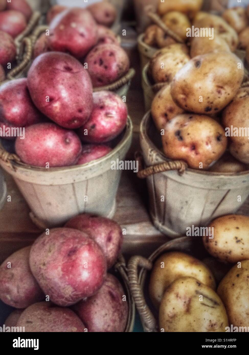 Potatoes at the Jean Talon Market, Montreal, Quebec Stock Photo