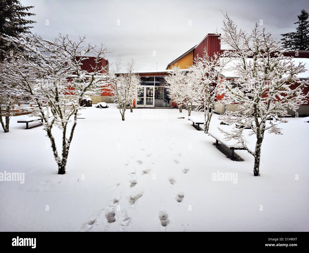 First snow on school grounds in Bellevue, WA - Smartphone Captured Stock Image