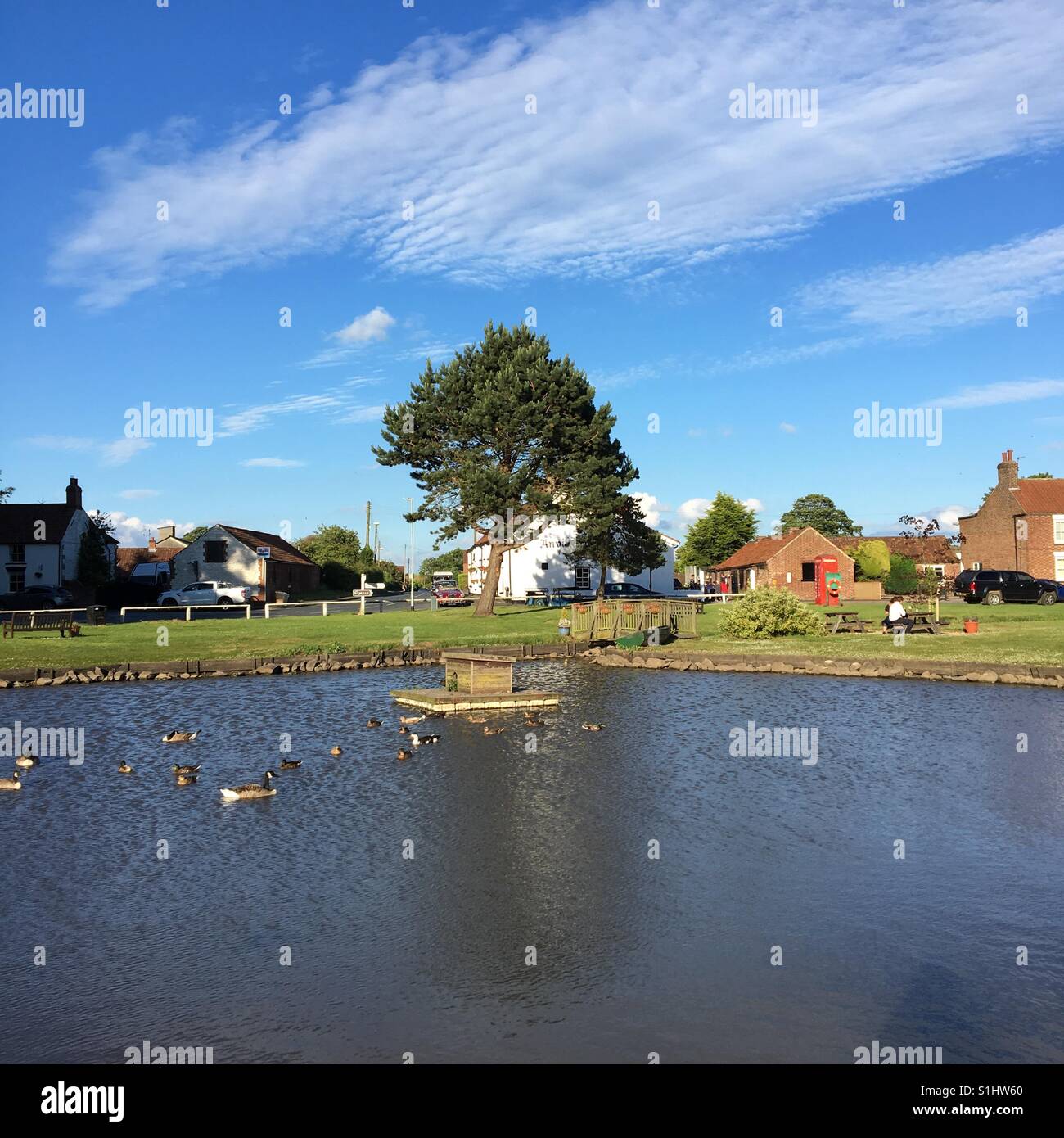 Village green and pond, Yorkshire Stock Photo