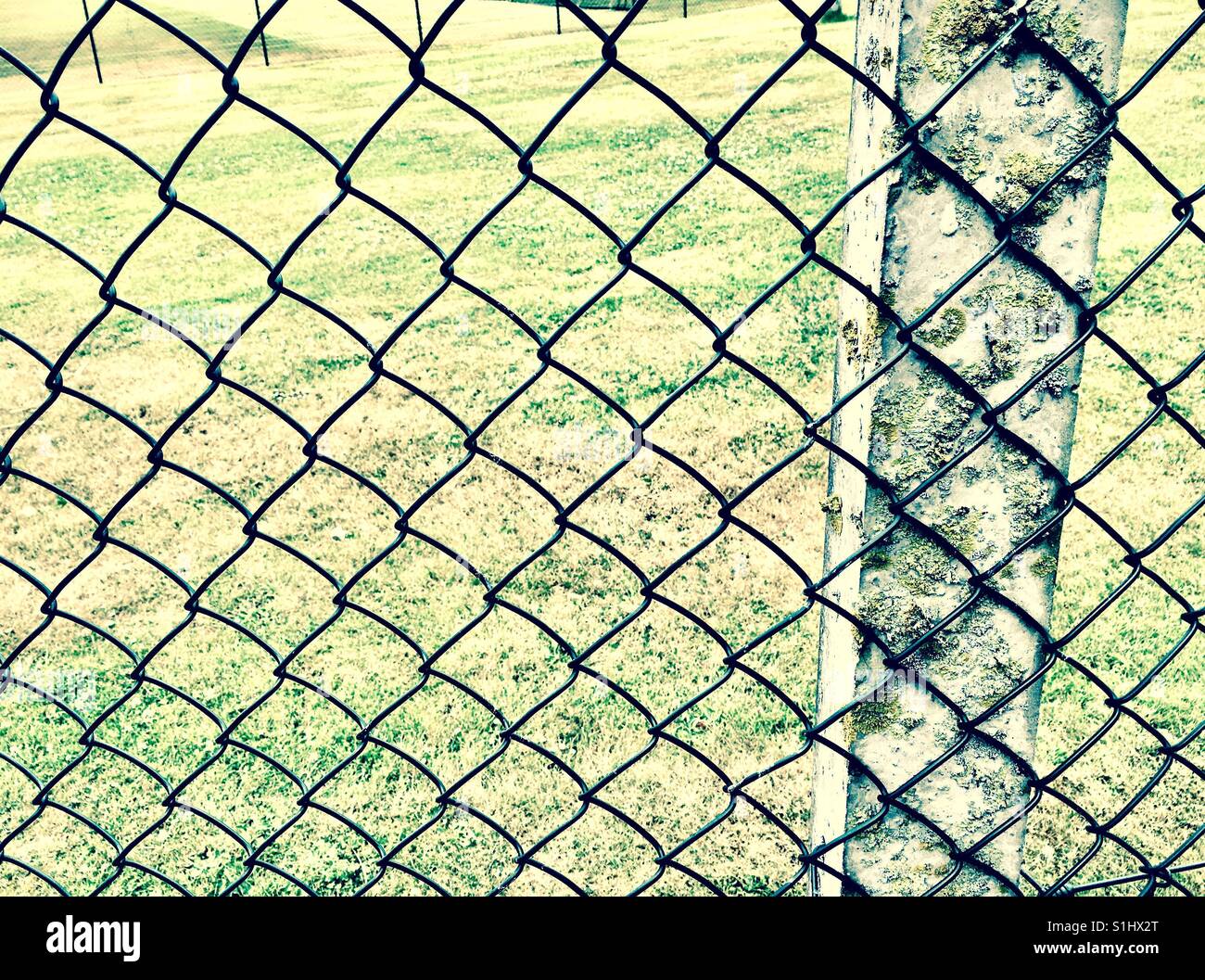 Fence against green grass background - Smartphone Captured Stock Image