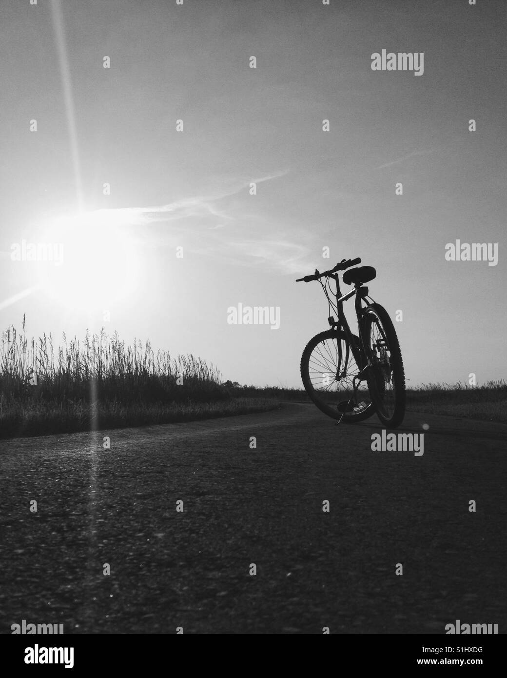 Bike ride at sunset Stock Photo Alamy