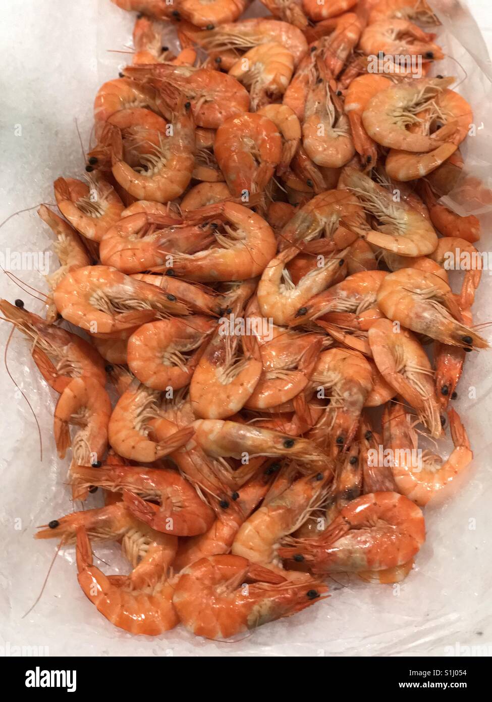Fresh shrimps from Adriatic Sea, Italy - Smartphone Captured Stock Image