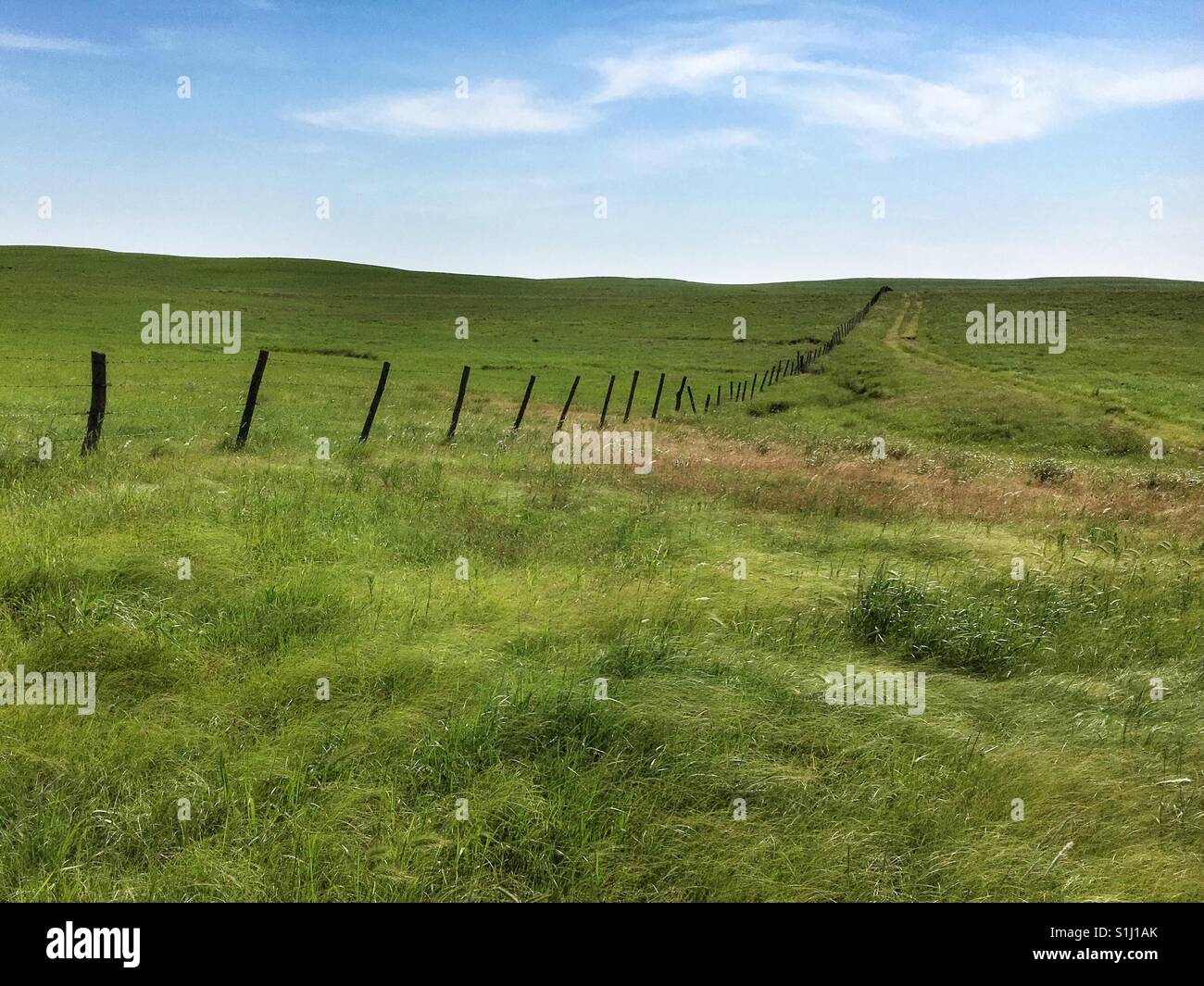 Fenceline through an empty green pasture Stock Photo