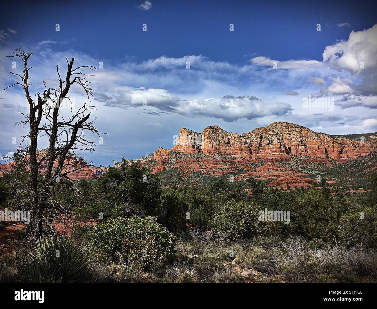 Sedona, Arizona landscape with blue sky and dramatic clouds behind the red cliffs and foliage - Smartphone Captured Stock Image