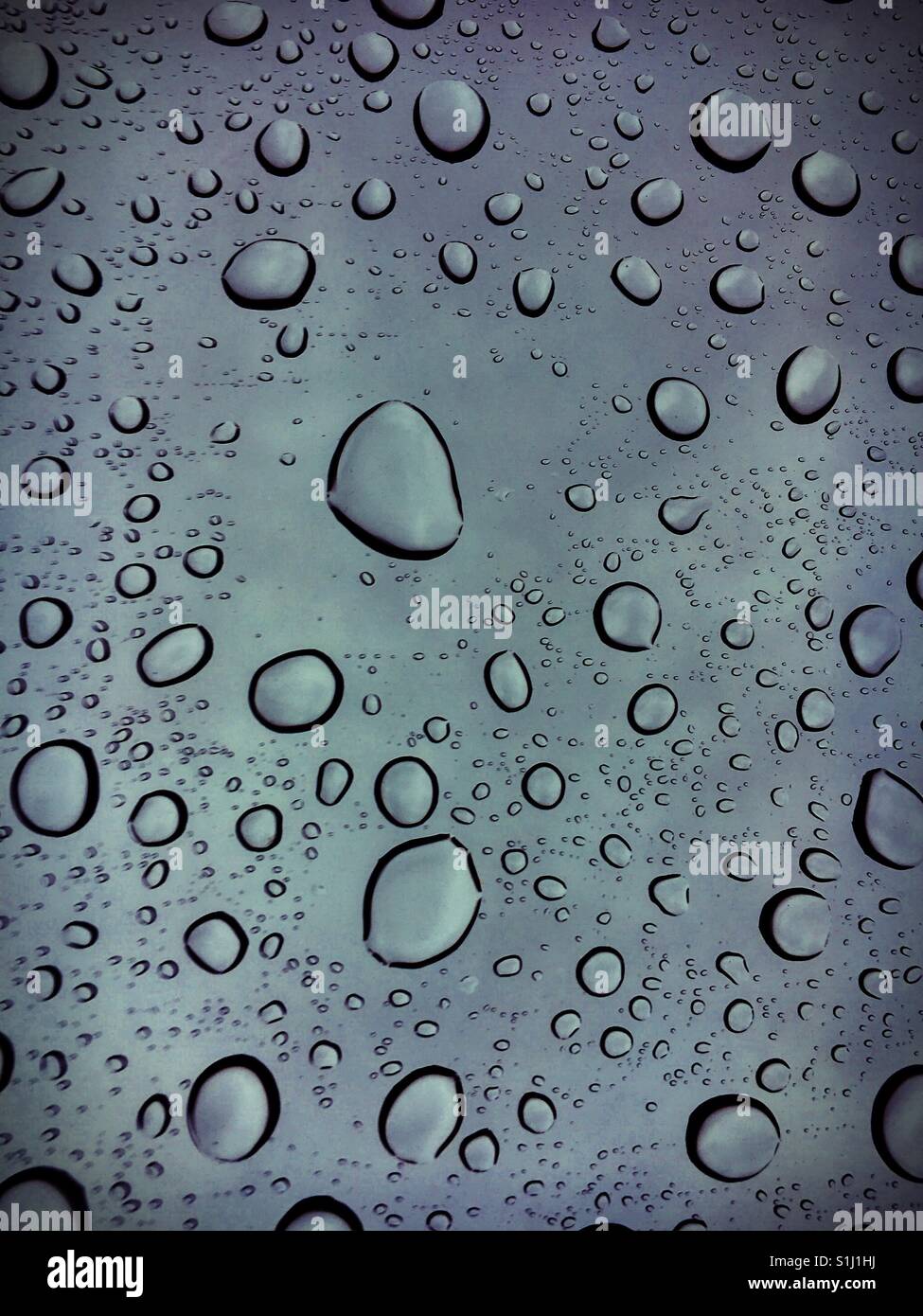 Water drops on a window - Smartphone Captured Stock Image