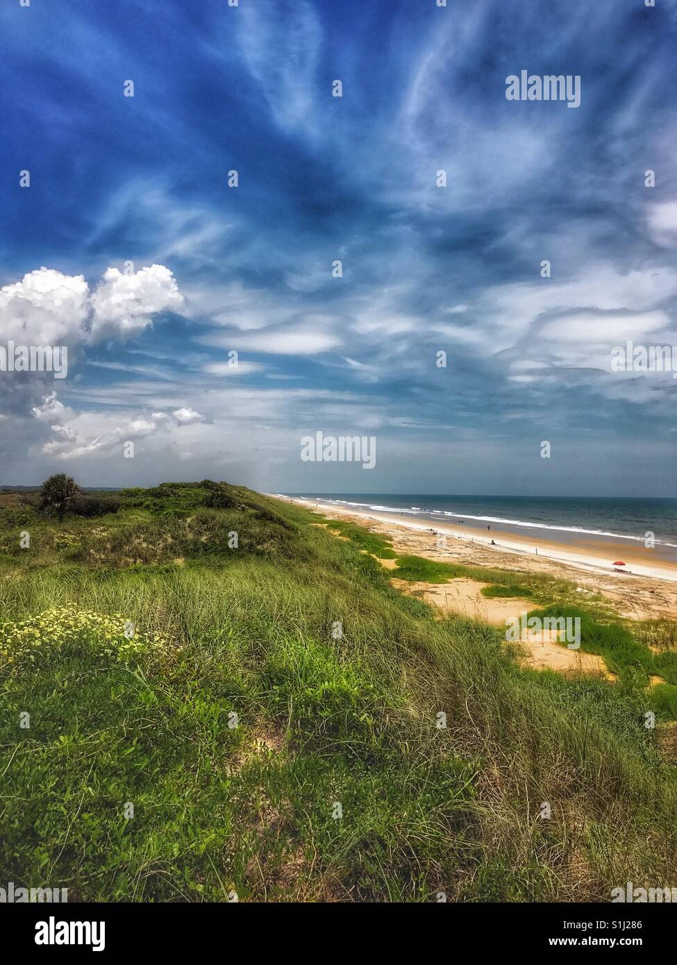 View of the beach from atop the dunes, South Ponte Vedra Beach, Florida - Smartphone Captured Stock Image