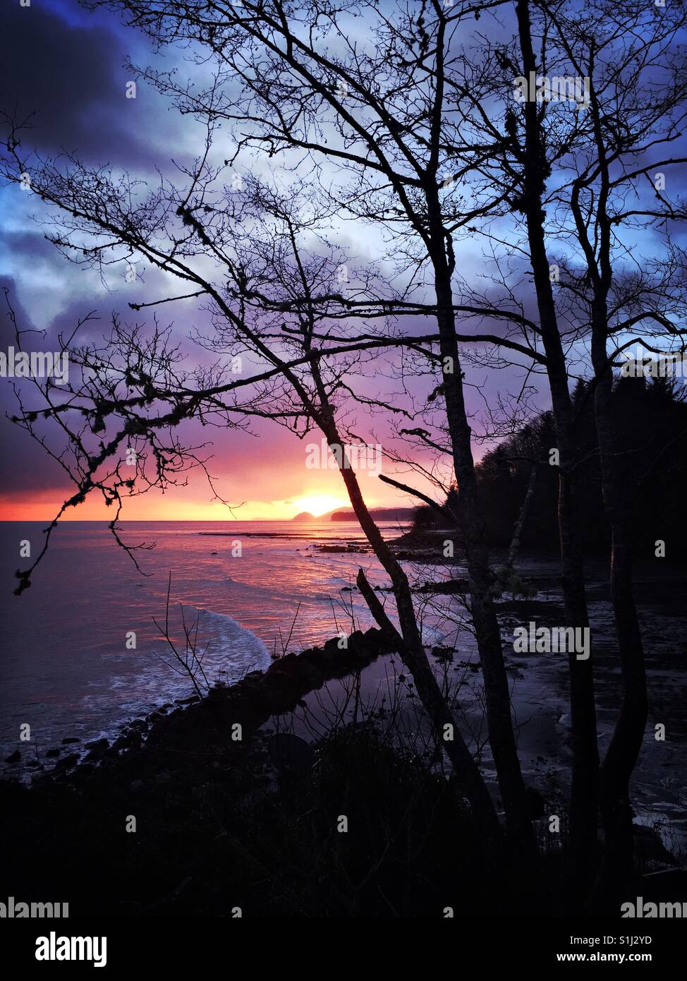 First rays of sunrise color Pacific Ocean near Chito Beach on Olympic Peninsula Stock Photo