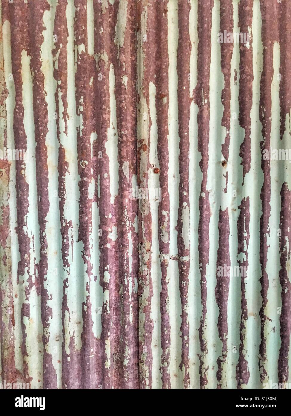 Cracked paint on corrugated iron Stock Photo Alamy