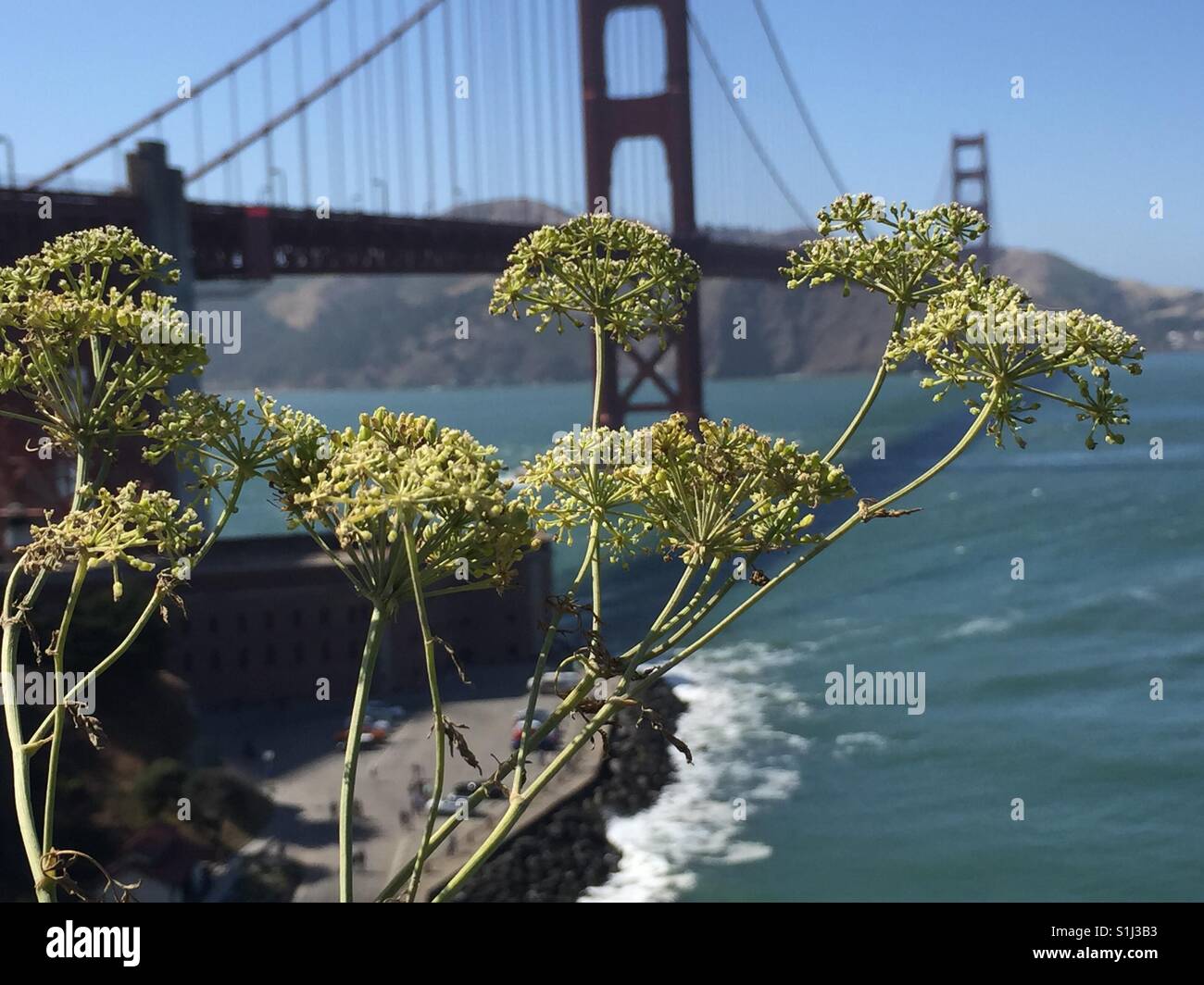 San Francisco, Golden Gate Bridge, CA Stock Photo