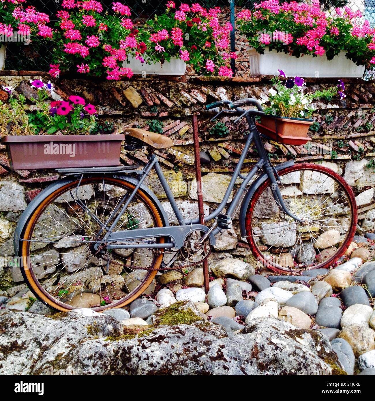Old bicycle - Smartphone Captured Stock Image