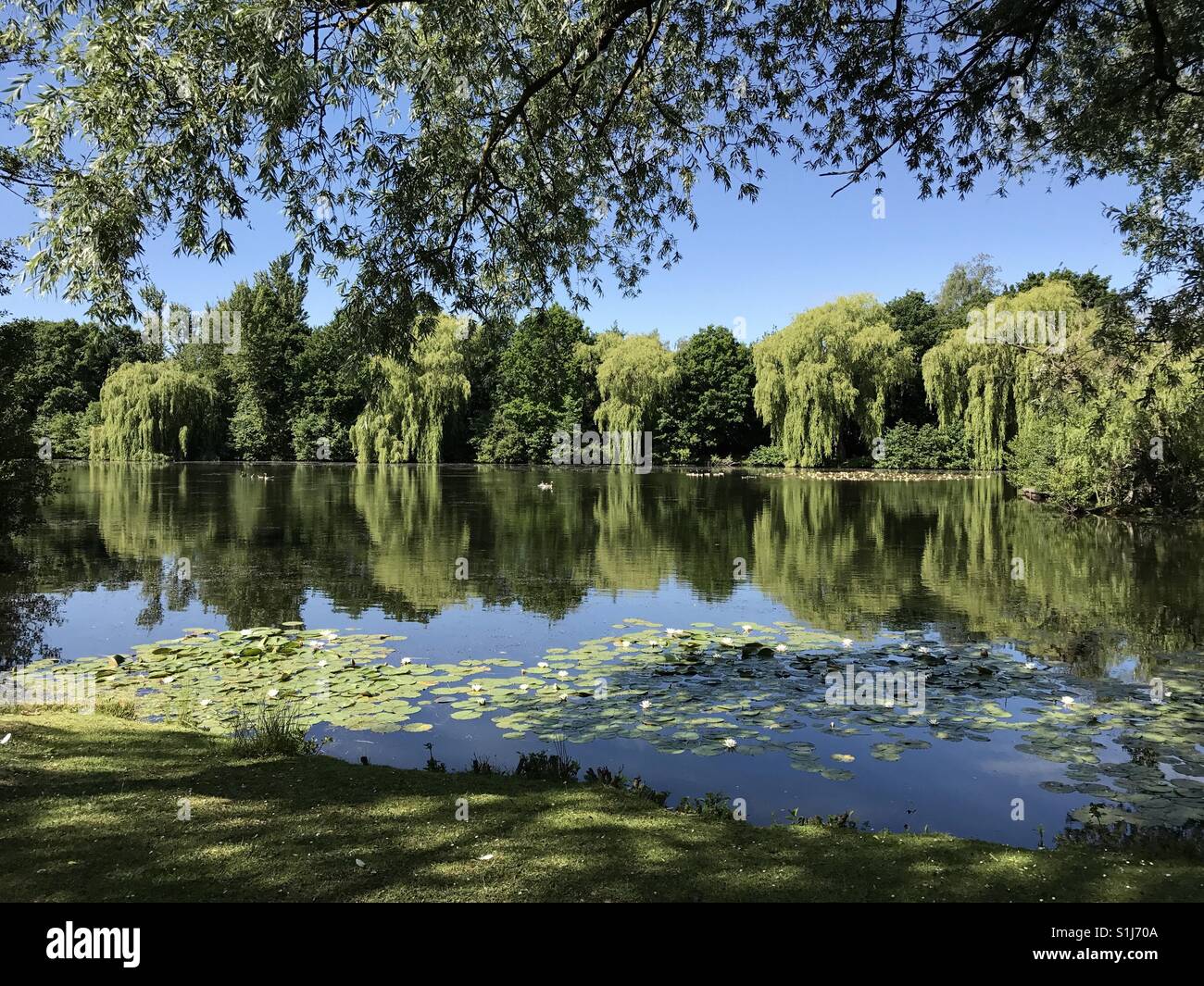 Tri-lakes Country Park, Yateley, Sandhurst, Surrey Stock Photo