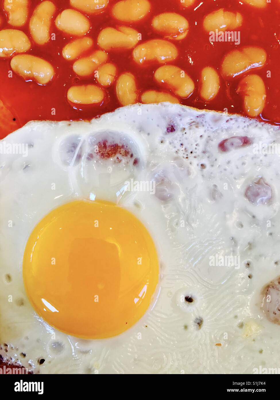 Fried egg with baked beans Stock Photo Alamy