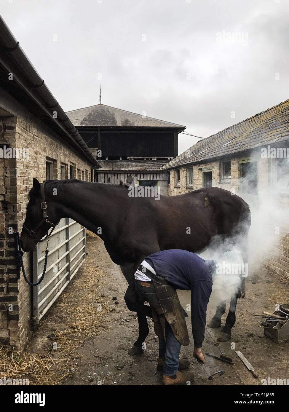 A blacksmith/farrier fitting shoes to a horse on a farm in Northumberland, England. - Smartphone Captured Stock Image