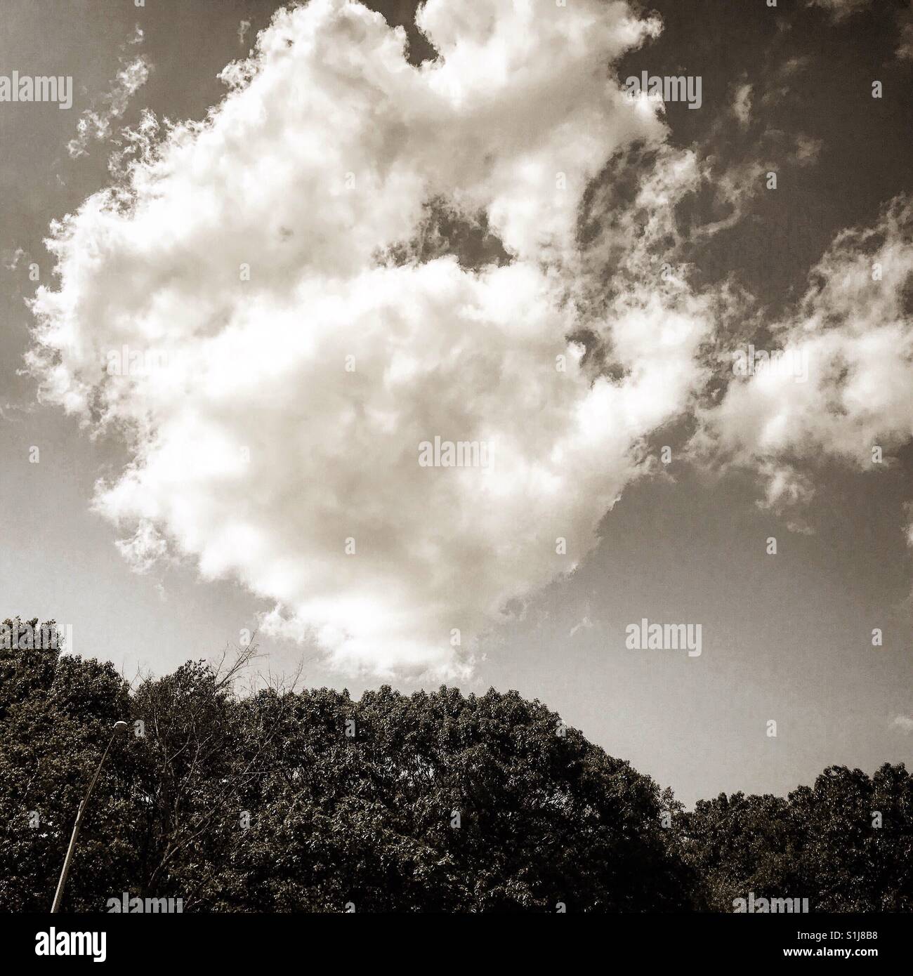 Sepia summer cloud landscape Stock Photo