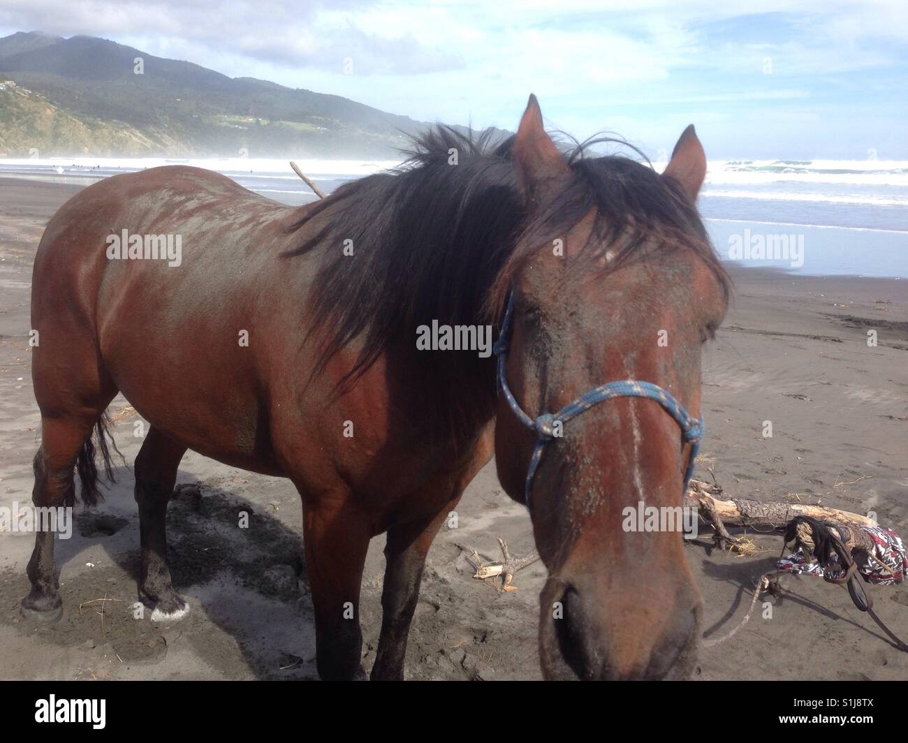 Ridiculousness High Resolution Stock Photography And Images Alamy