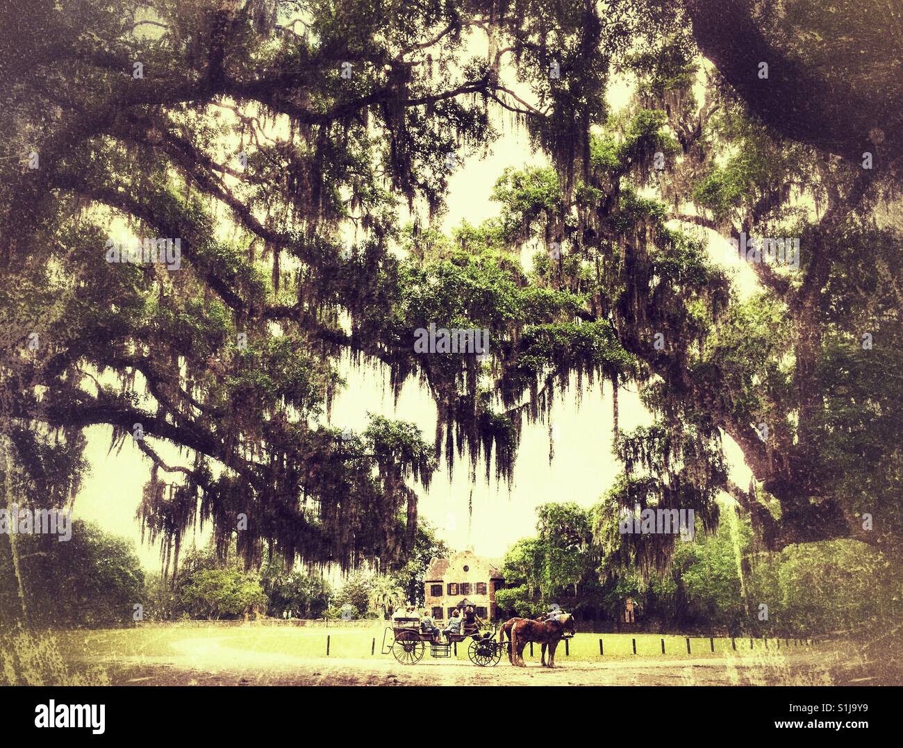 Southern Plantation Grounds