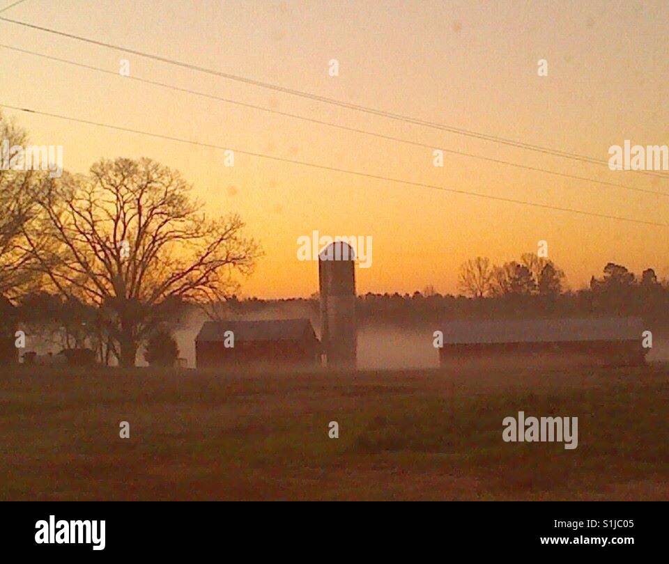 NC farm enveloped in morning mist, as seen through car window - Smartphone Captured Stock Image