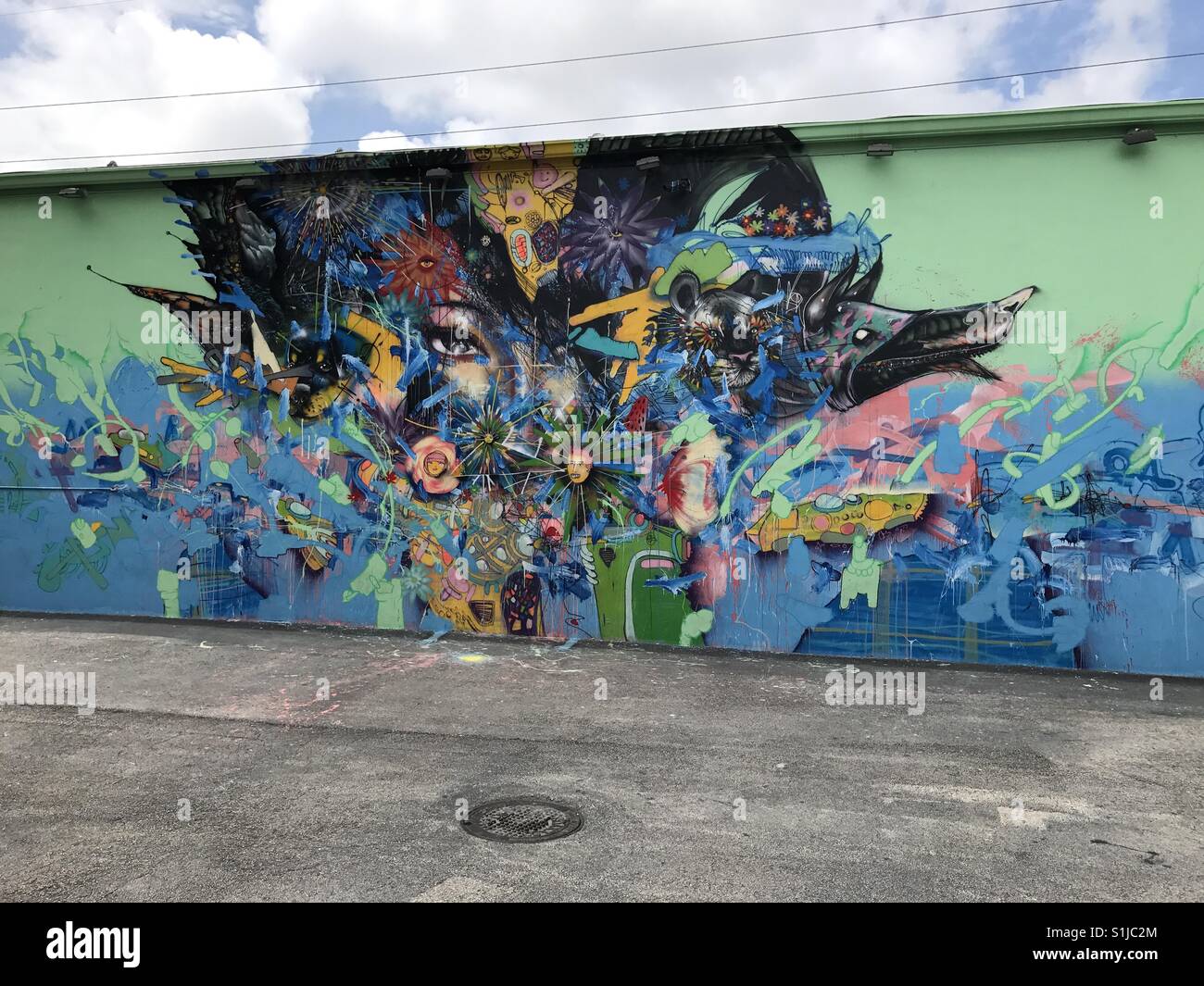 Wynwood Walls art Miami Stock Photo Alamy