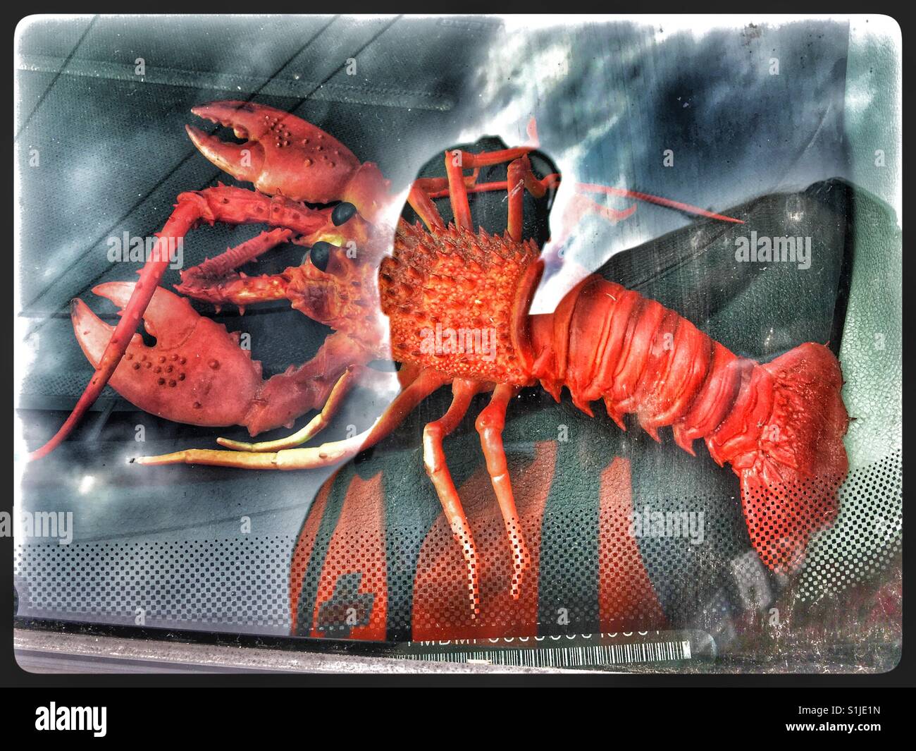 Postman with Plastic Lobster. Stock Photo