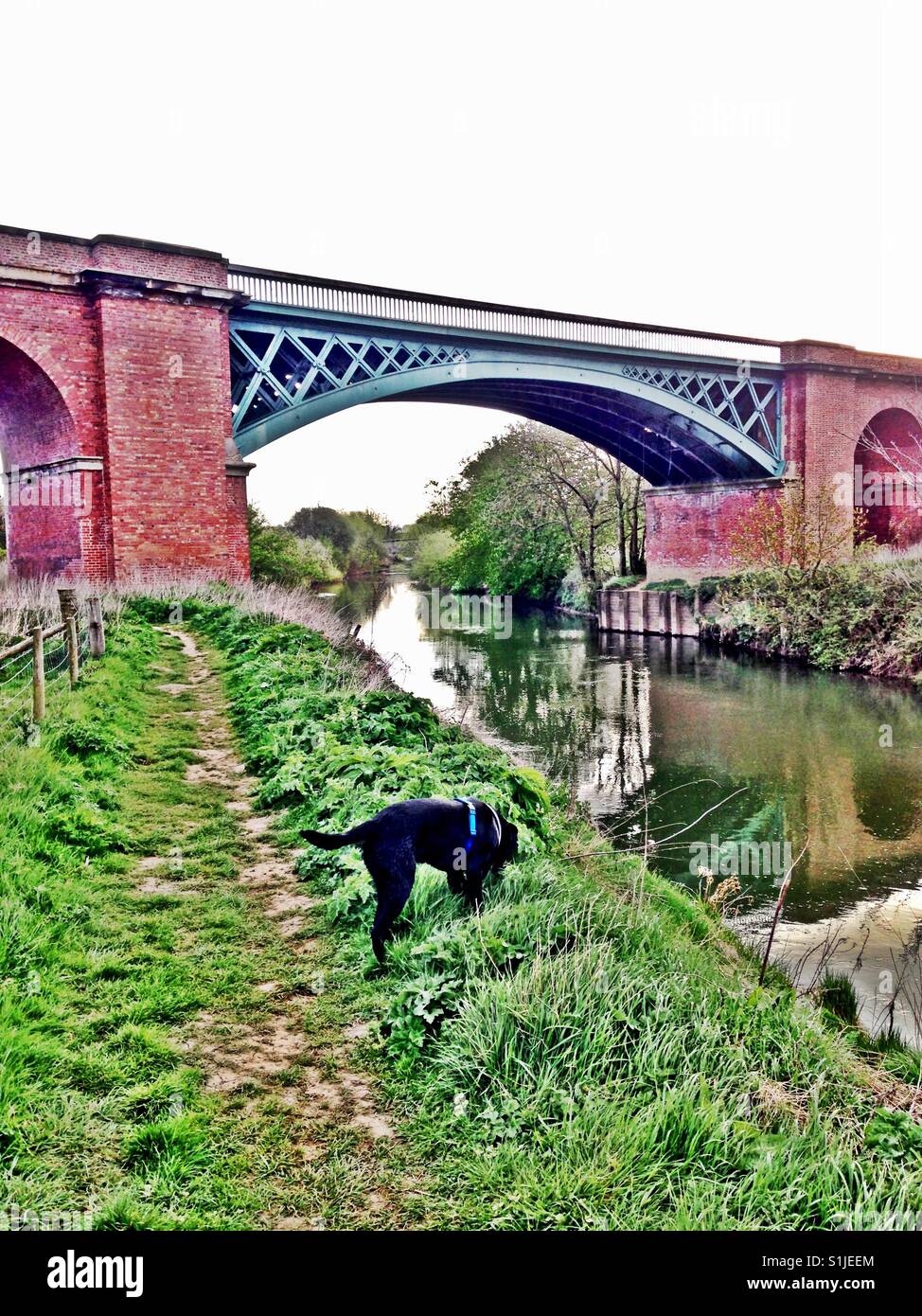 Labrador Bridge Stamford Bridge High Resolution Stock Photography and Images - Alamy