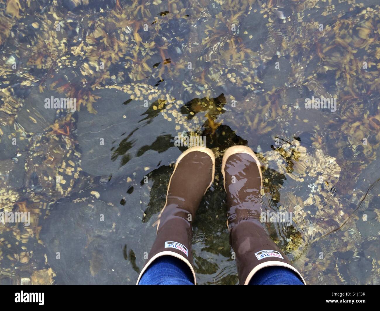 Boots in Water Stock Photo Alamy