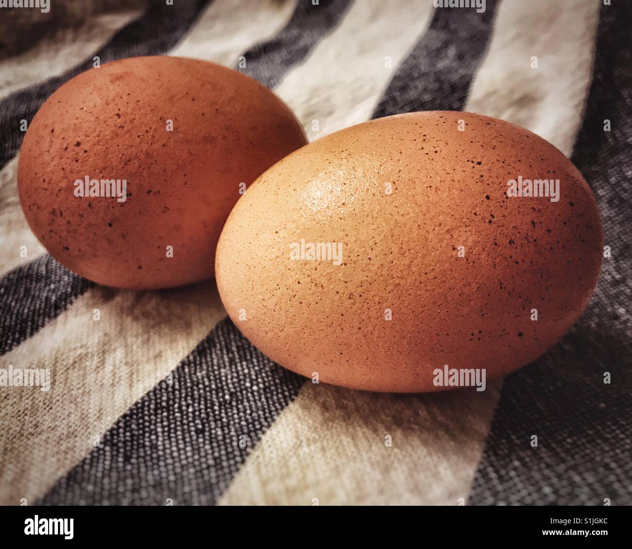 Brown speckled hires stock photography and images Alamy