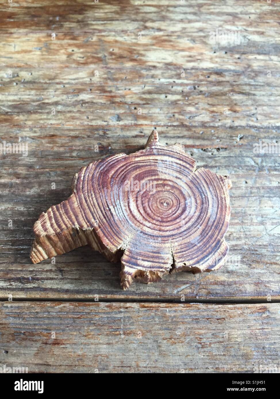 Woodcraft hires stock photography and images Alamy