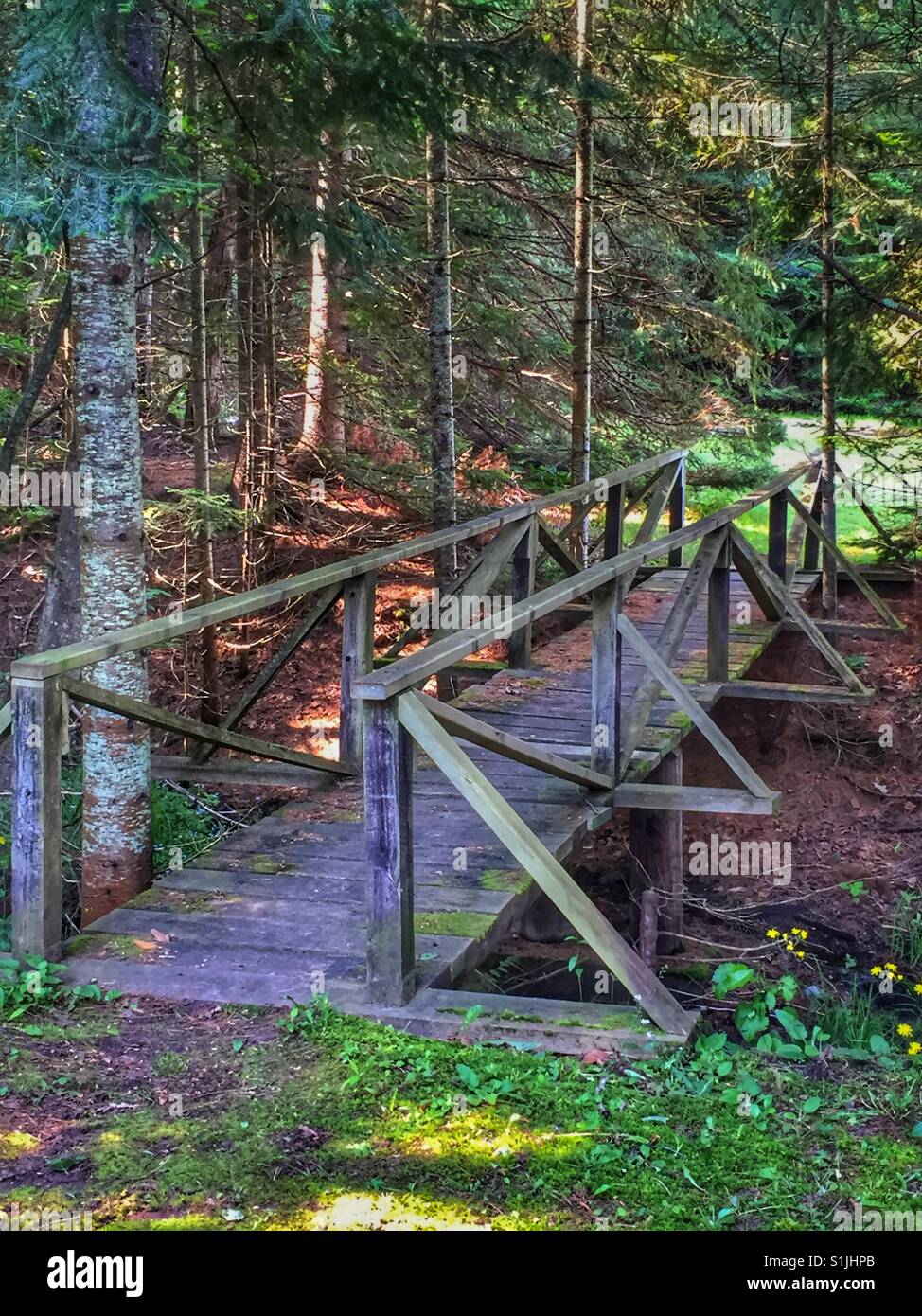 Footbridge in woods hi-res stock photography and images - Alamy