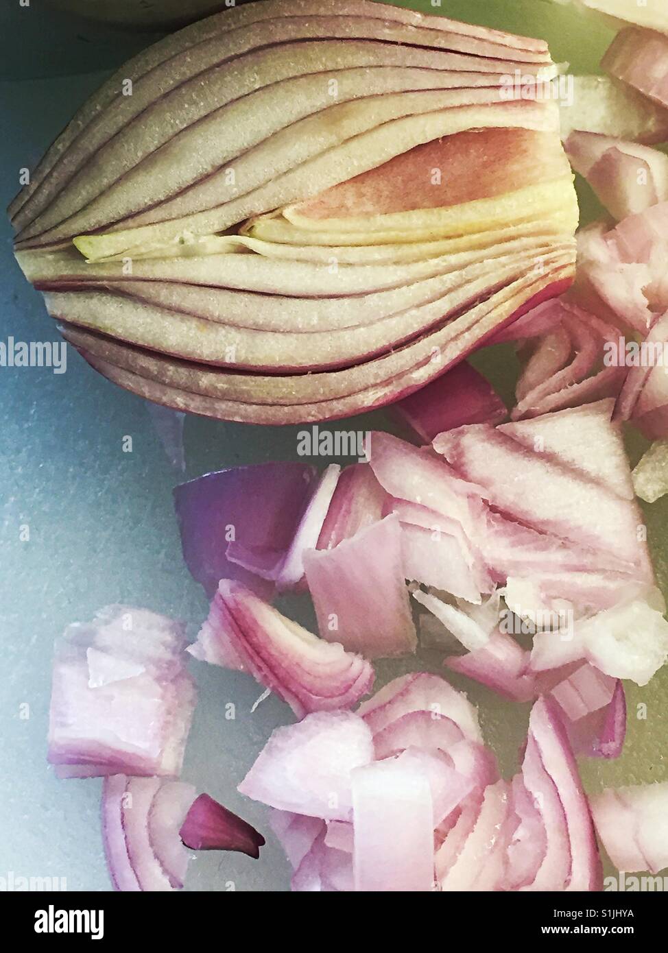 Chopped shallots on kitchen cutting board, USA - Smartphone Captured Stock Image