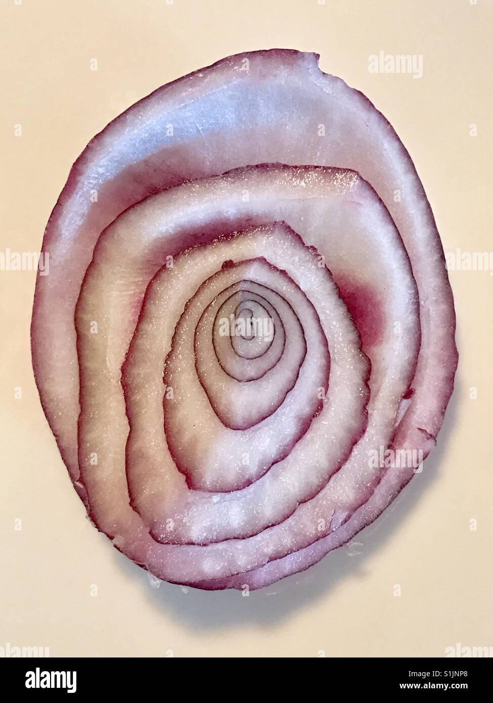 Red onion, sliced in cross-section, patterns - Smartphone Captured Stock Image