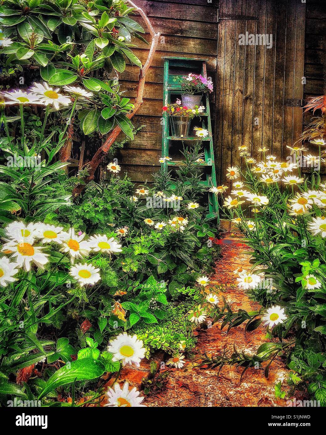 The garden - Smartphone Captured Stock Image