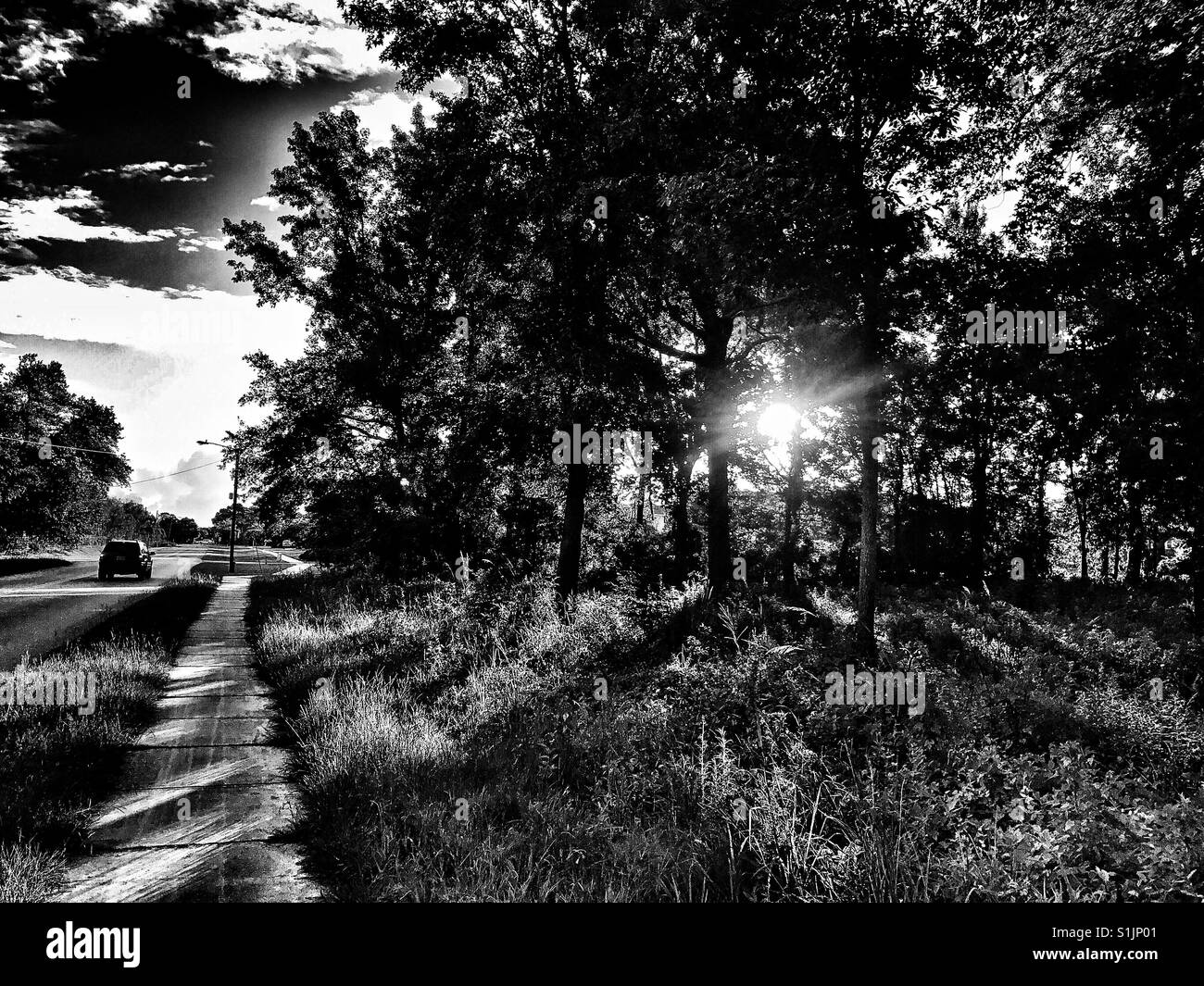 Of morning sun Black and White Stock Photos & Images - Alamy