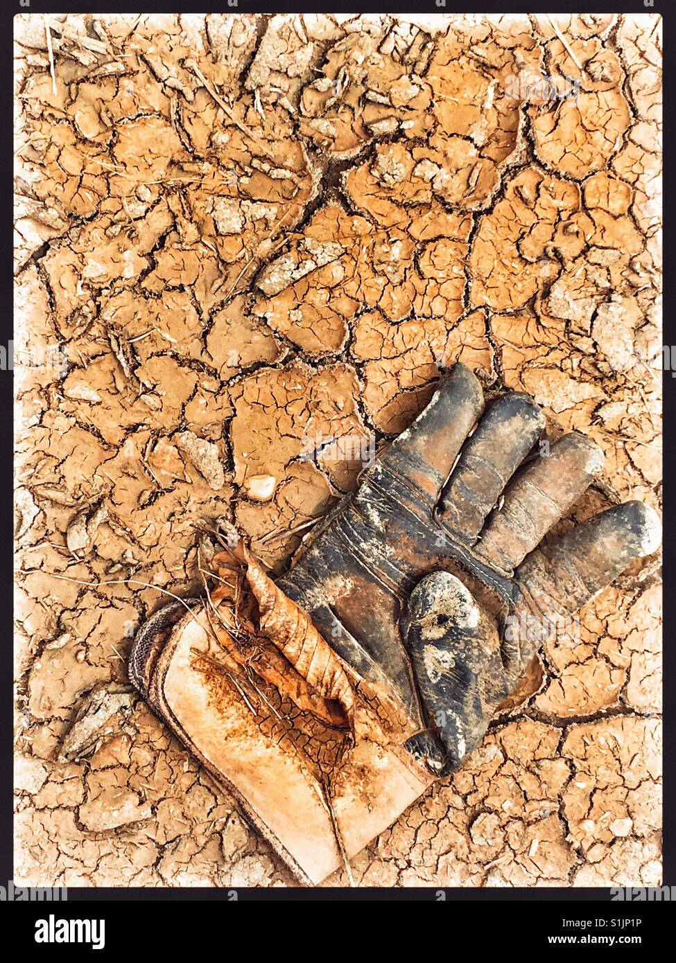 Mud puddle hires stock photography and images Alamy