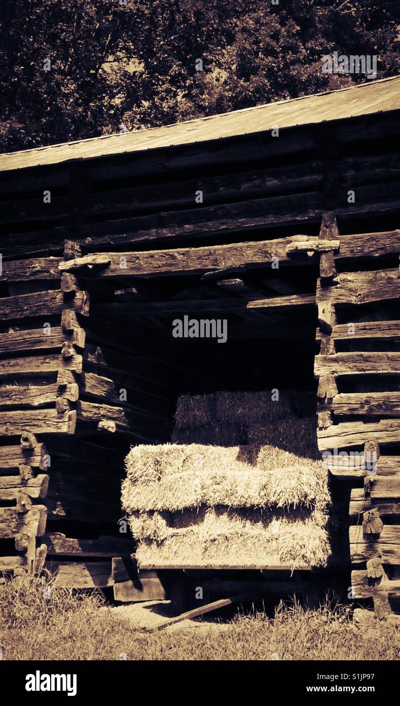 Store hay bales in old post and beam barn- NC - Smartphone Captured Stock Image