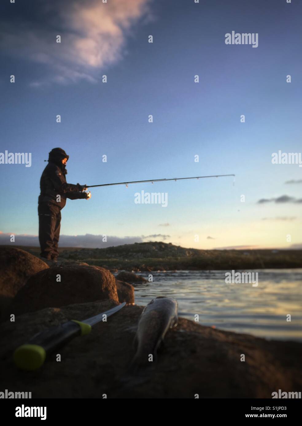 Trout fishing norway hi-res stock photography and images - Alamy