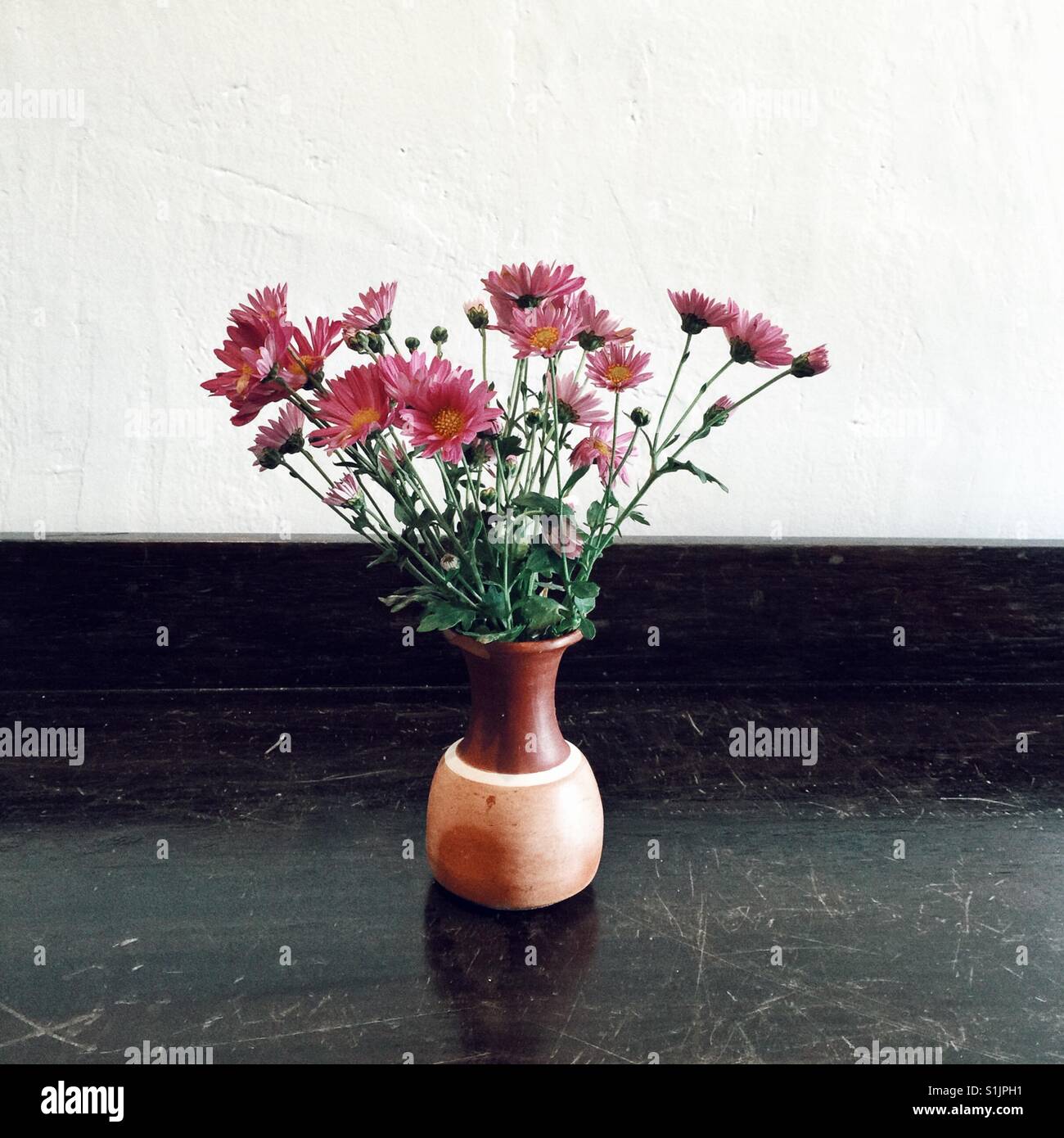 Wild asters in handmade traditional Peruvian ceramic vase - Smartphone Captured Stock Image