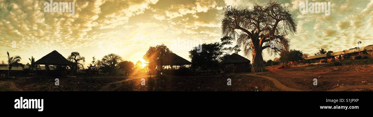 Sunrise with Baobab tree and gazebo huts in the foreground in Pemba, Mozambique, Africa Stock Photo