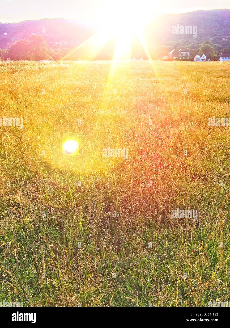 Summer evening near the Malvern hills uk Stock Photo