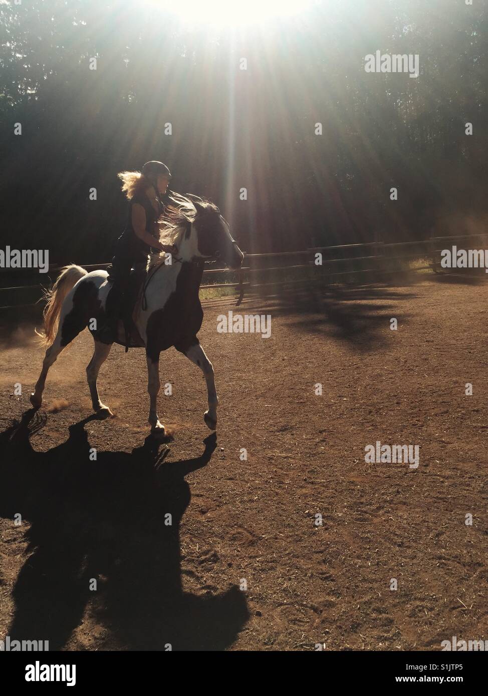 Woman horseback riding on a pinto /Arabian mare in a corral with late afternoon sun backlighting in British Columbia Canada - Smartphone Captured Stock Image