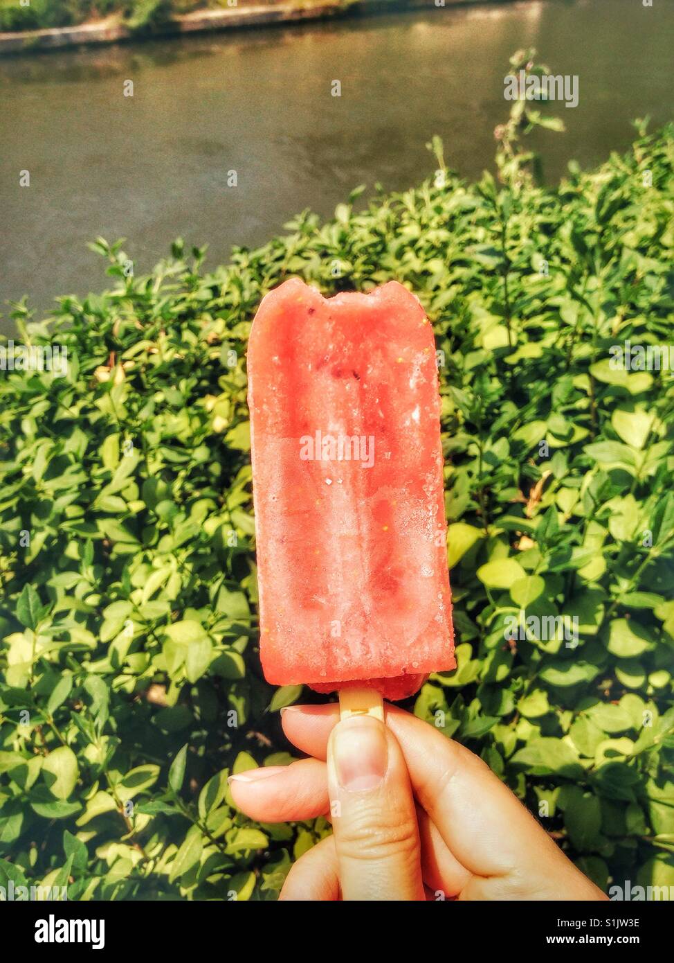 Popsicle Stock Photo - Alamy