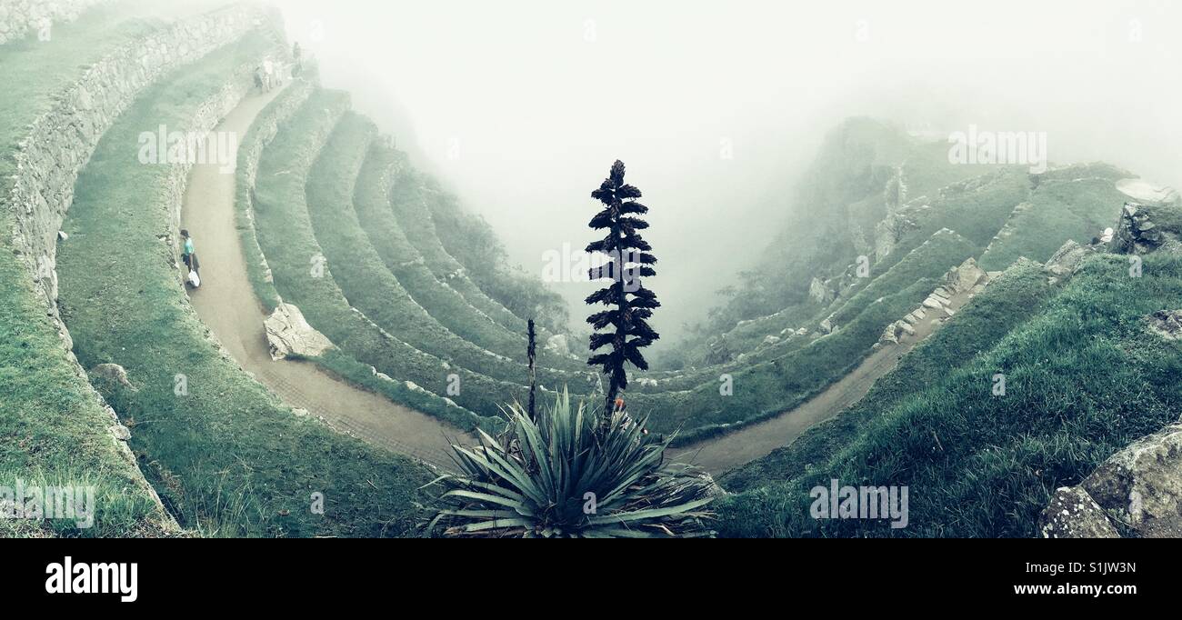 Stone terraces in Machu Picchu disappearing in the morning fog - Smartphone Captured Stock Image