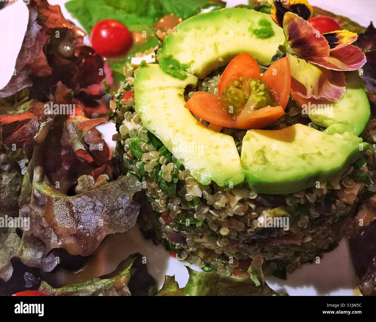 Quinoa tower served on bed of lettuce and tomatoes with avocado and edible flowers in Peru Stock Photo
