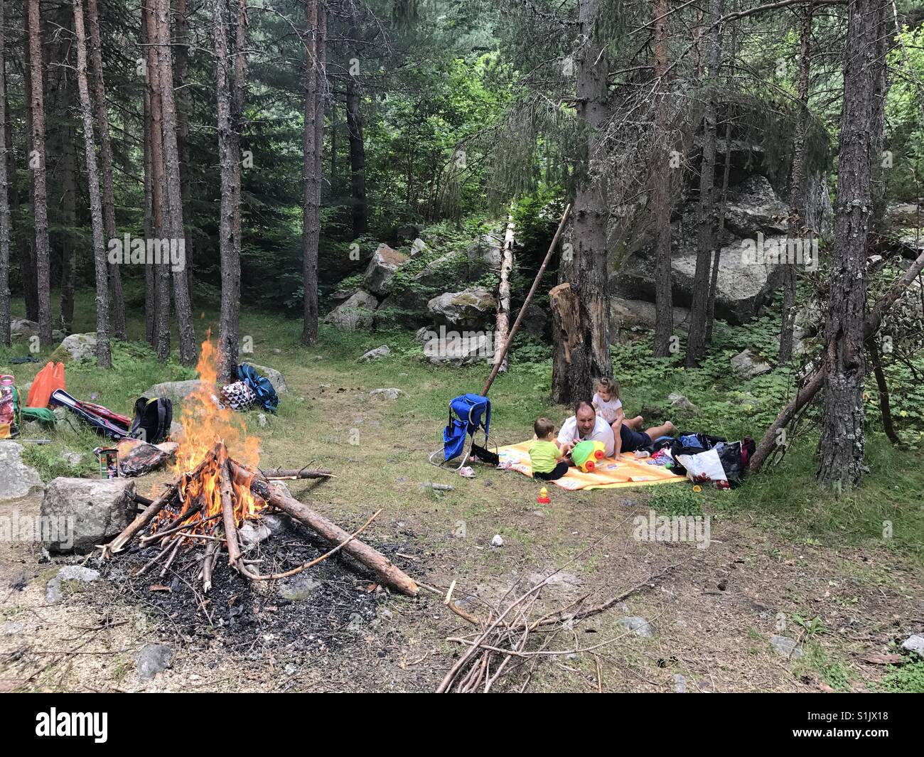 Family barbecue in the forest - Smartphone Captured Stock Image