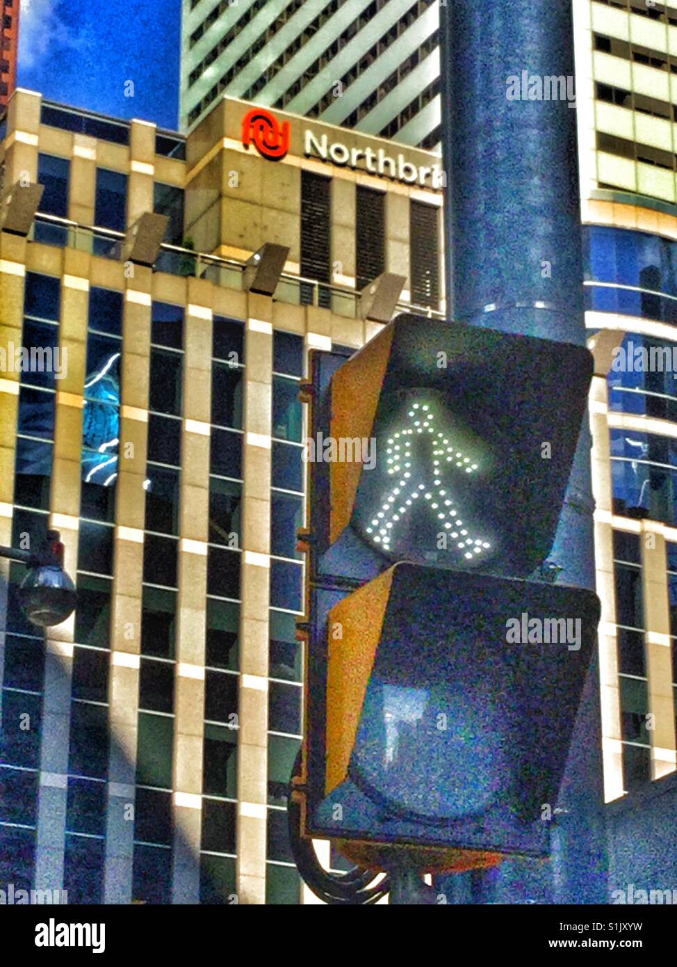 Street traffic light. - Smartphone Captured Stock Image