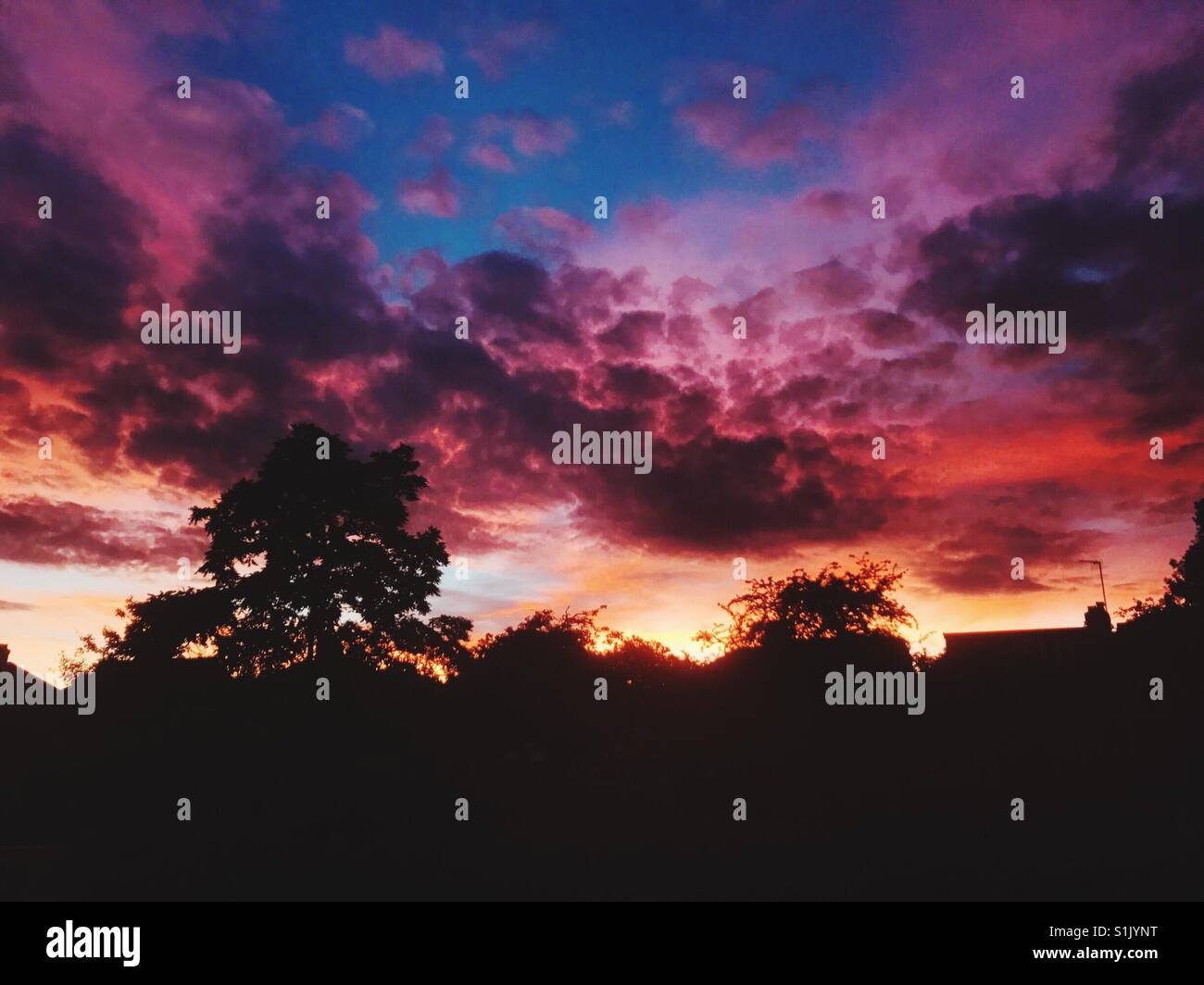 A cloudy sunset with silhouette trees Stock Photo - Alamy