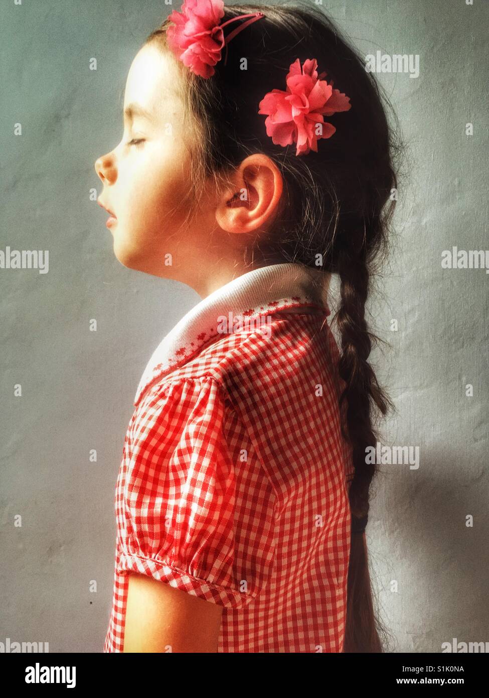 Taking in the warm sunlight - Smartphone Captured Stock Image